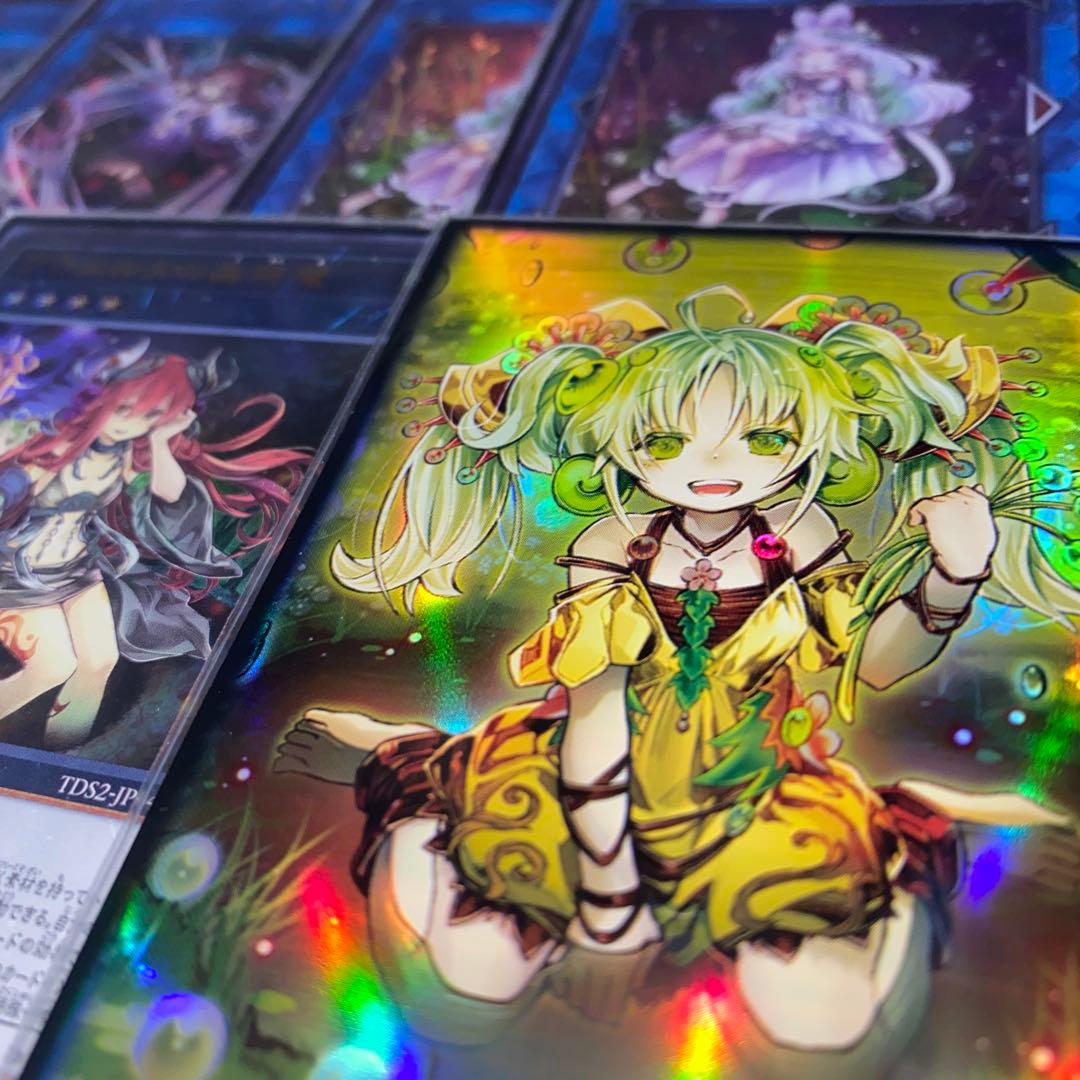 【2277】遊戯王　蠱惑魔　蟲惑魔　本格構築済み　デッキ 高レア