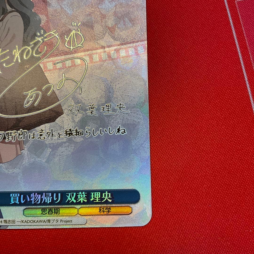 ヴァイス 青ブタ SP 買い物帰り 双葉理央