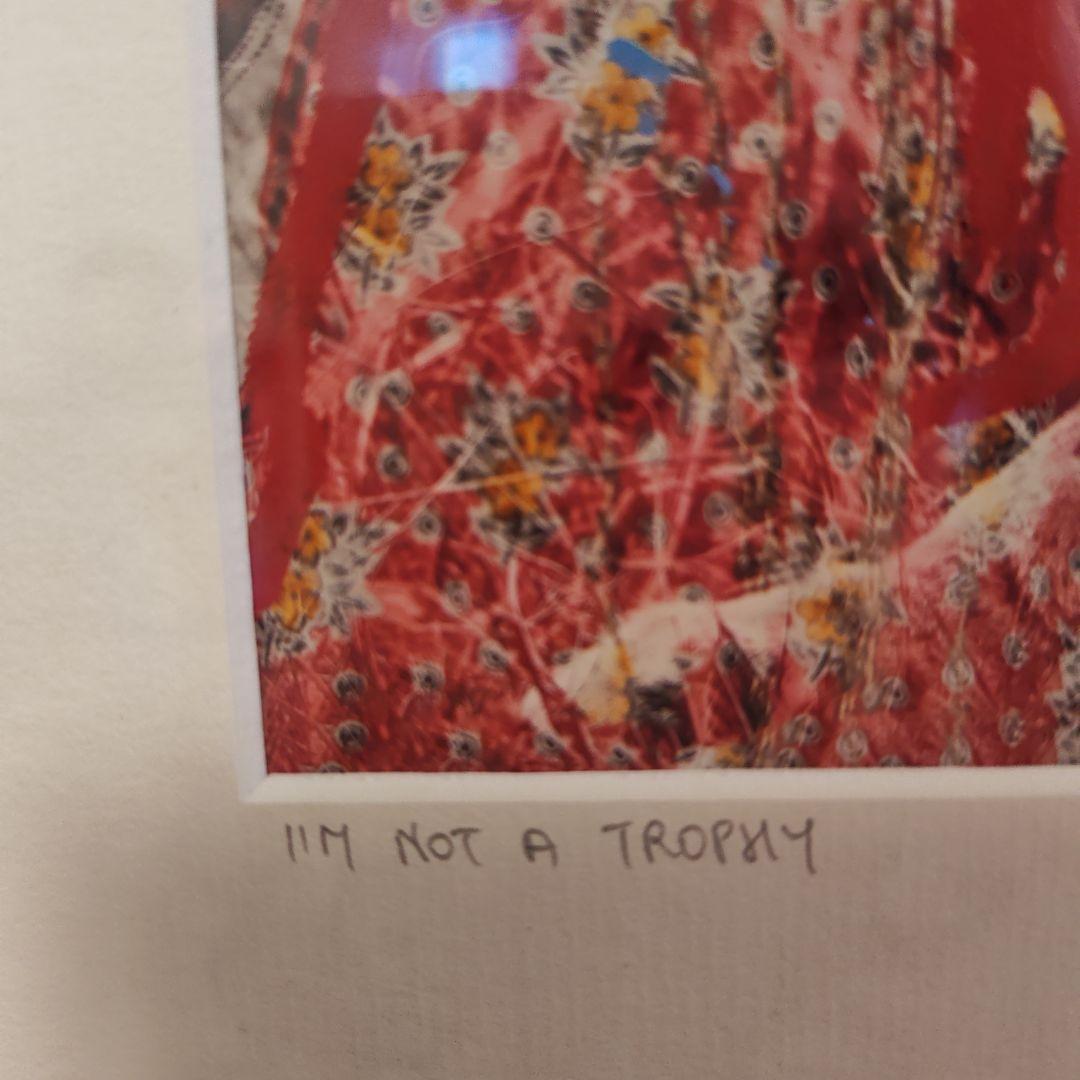 Ｉ'm not a trophy sinba 9　アート作品