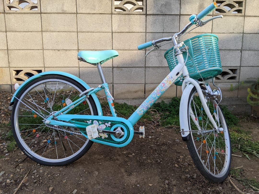 【引取のみ】ブリヂストン　エコパル　22インチ　子供自転車　美品✨