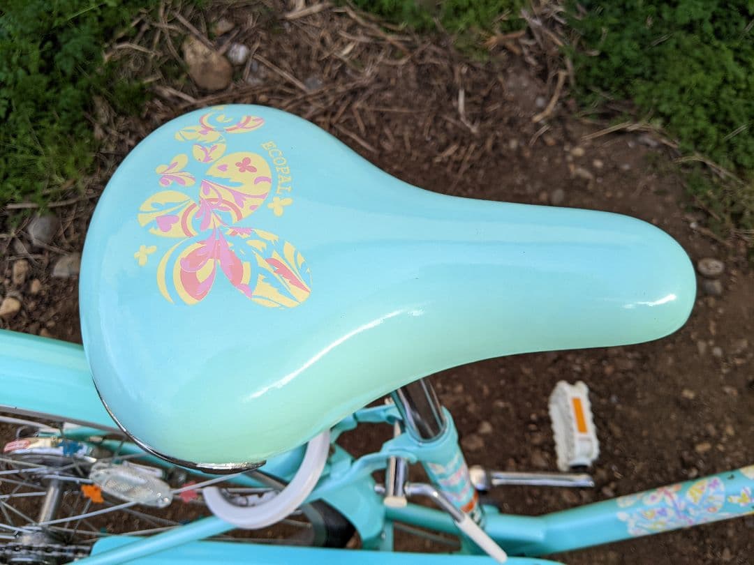 【引取のみ】ブリヂストン　エコパル　22インチ　子供自転車　美品✨