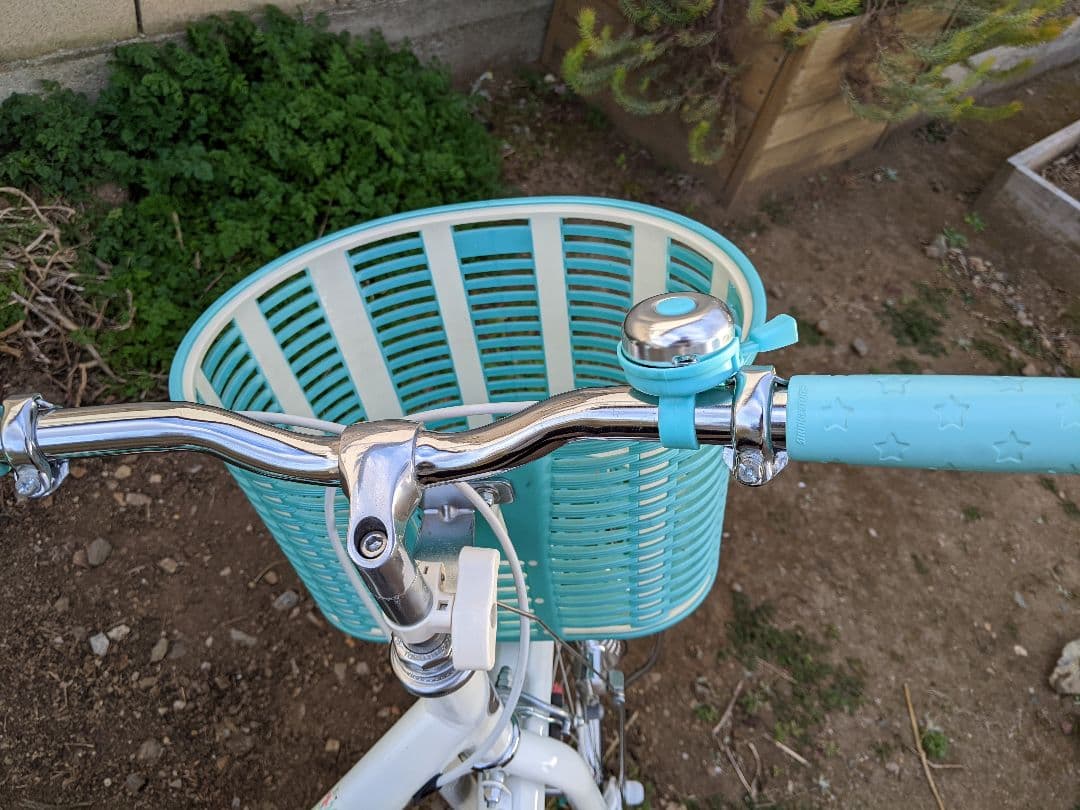 【引取のみ】ブリヂストン　エコパル　22インチ　子供自転車　美品✨