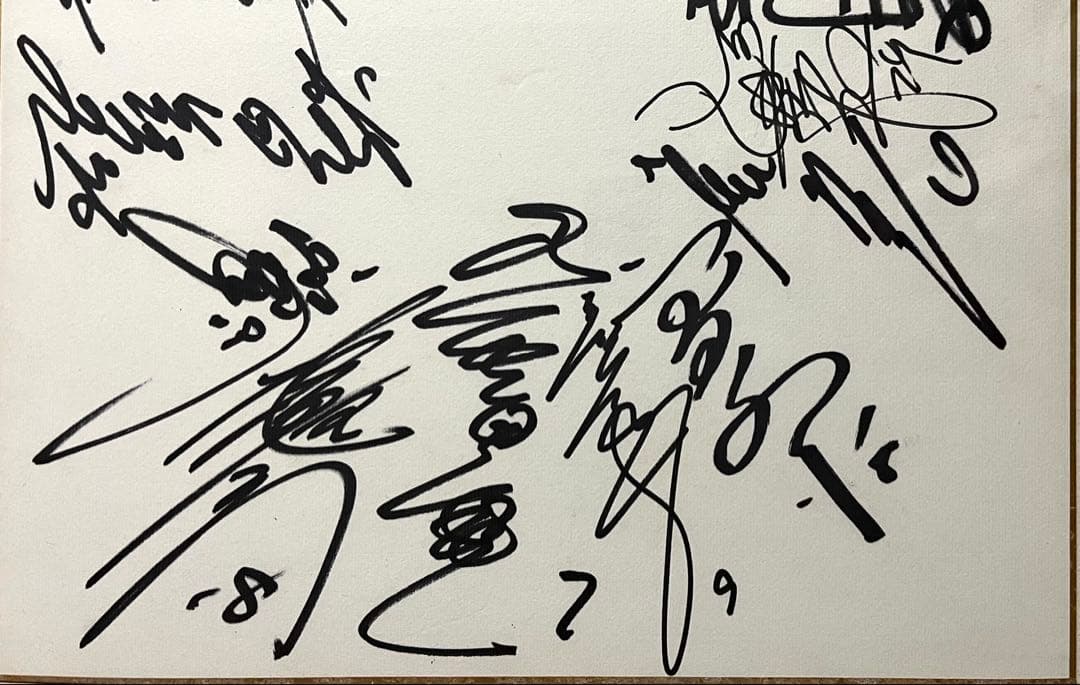 レア大サイズ☆長嶋・王・張本・堀内他☆プロ野球巨人軍16名直筆寄書きサイン色紙