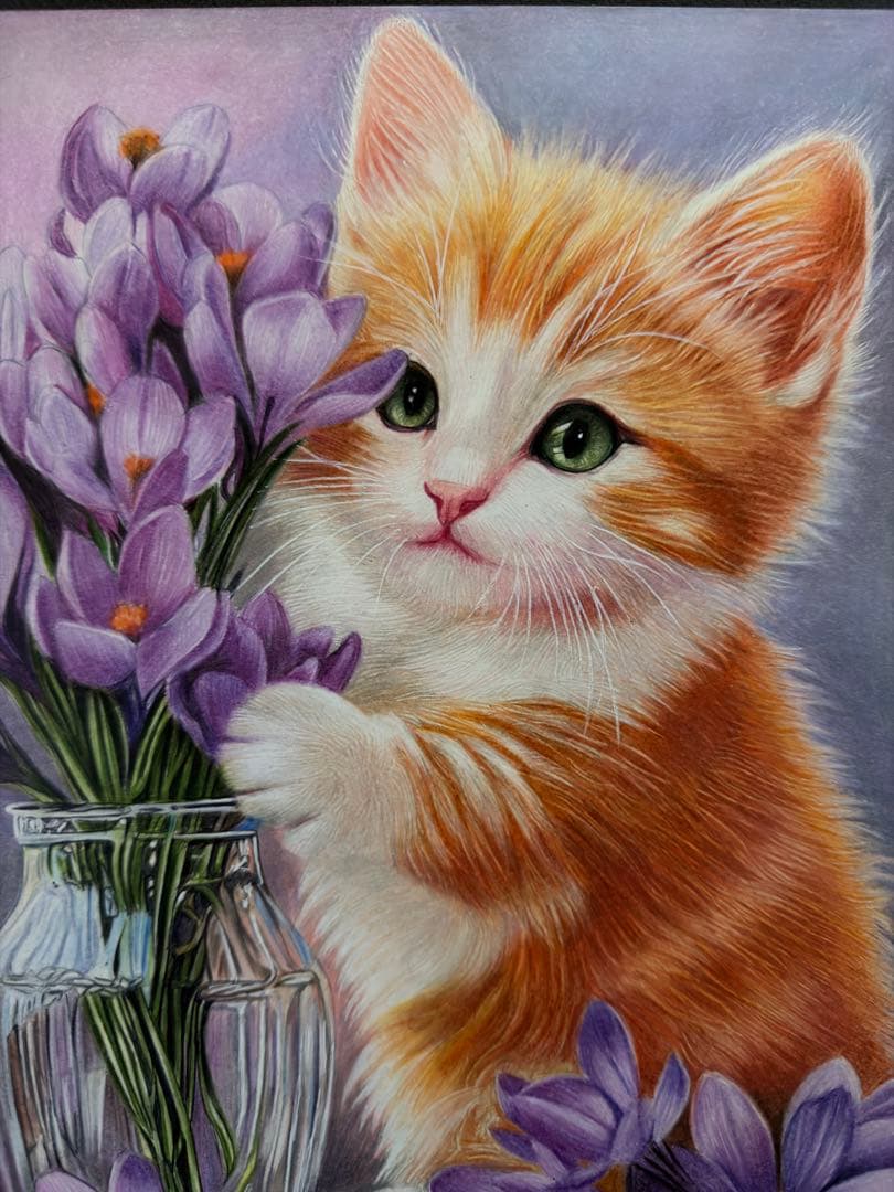 色鉛筆画A4 仔猫とクロッカス