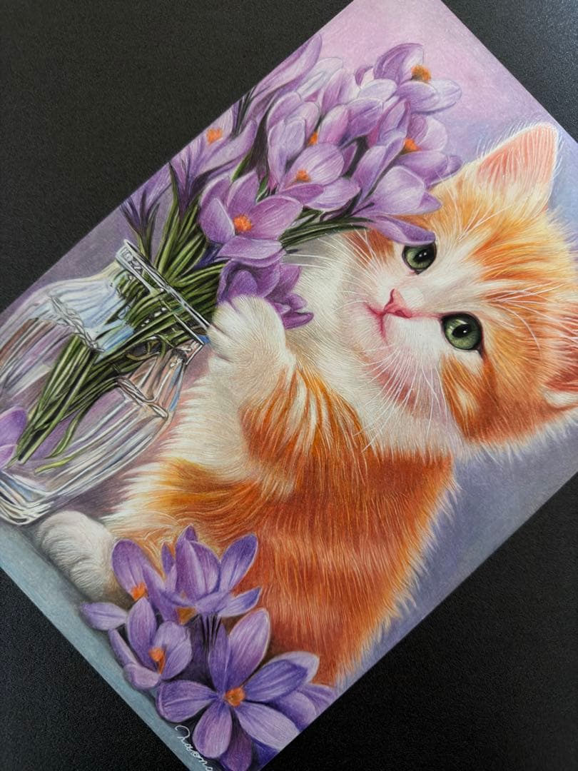 色鉛筆画A4 仔猫とクロッカス