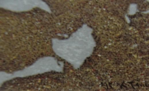鶴田憲次【teh earth konomai】希少画集画、状態良好、新品高級額装