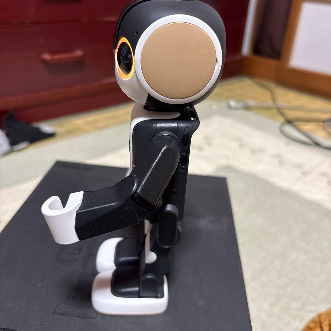 ＳＨＡＲＰ　ＲoＢoＨoＮです