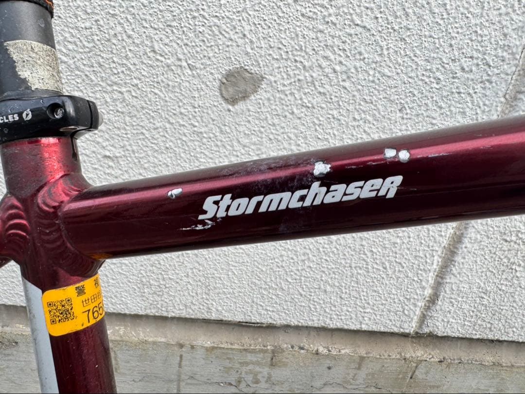 自転車本体 SALSA STORM CHASER 2021