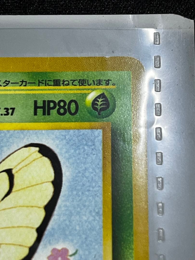 【旧裏】サザンアイランド　レインボーアイランド〜川辺〜　ポケモンカード