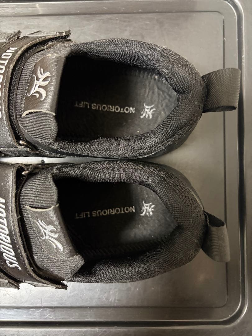 ウエイトトレーニング NOTORIOUS LIFT SSG4