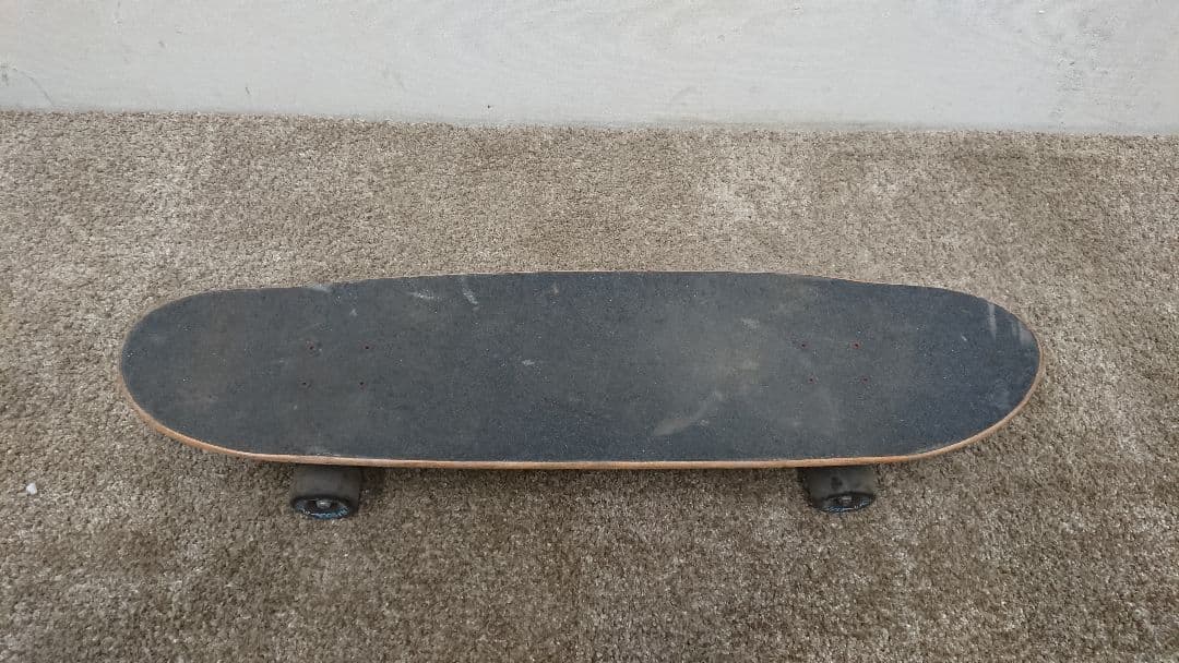 CARVER VENICE スケートボード