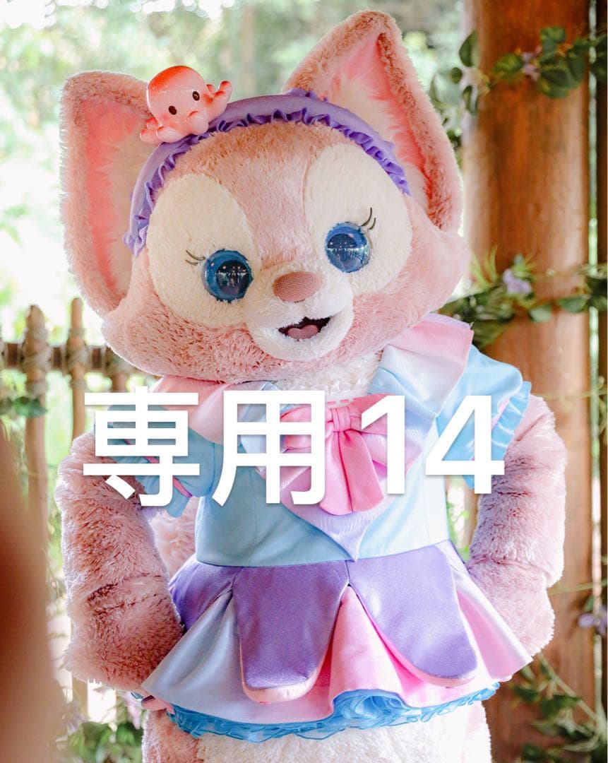 専用14