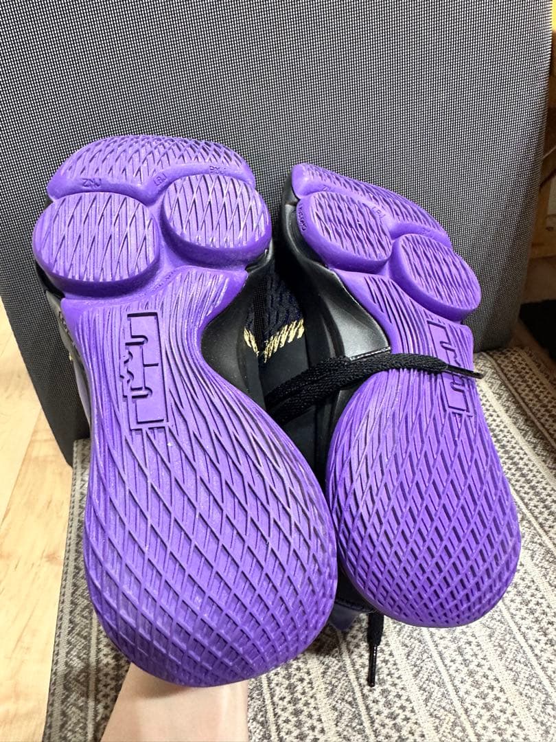 LEBRON WITNESS V レブロンウィットネス 24.5cm