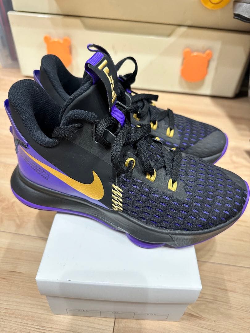 LEBRON WITNESS V レブロンウィットネス 24.5cm