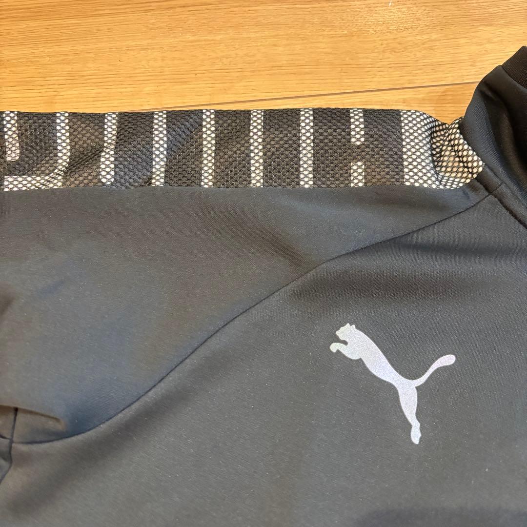 新品　PUMA プーマ　トレーニングウェア　ジャージ上下セット　ランニング