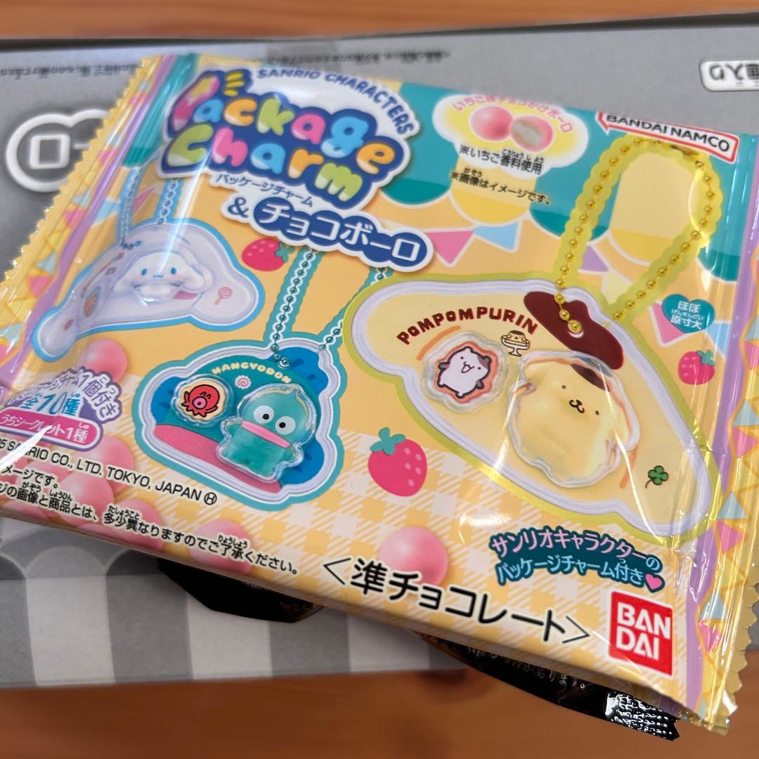 サンリオキャラクターズ　パッケージチャーム&チョコボーロ　10個入一箱　11個