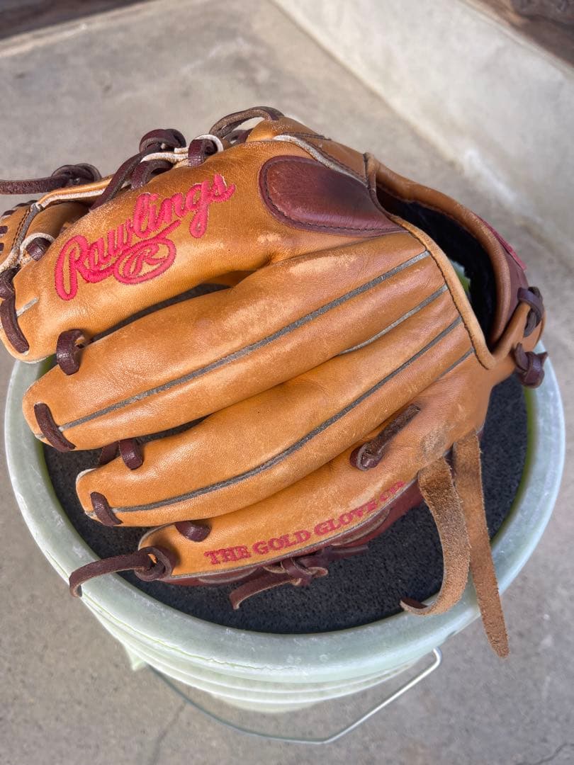 Rawlings Dual Pal 軟式グローブ