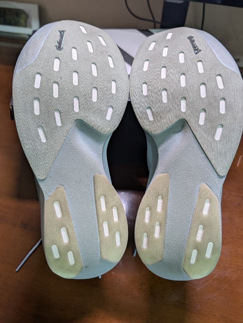 Adizero EVO SL WOVEN メンズ 25.5cm