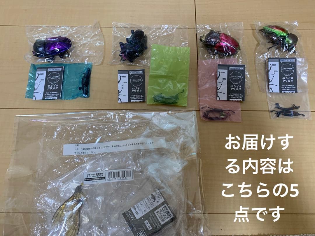 ★いきもの大図鑑【ニジイロクワガタ】4種＋後翅(小)ディスプレイ1個セット★
