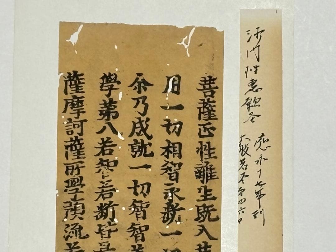 「沙門性恵願経 大般若経巻第四六〇」応永十七年刊 5行1枚|古典 経典