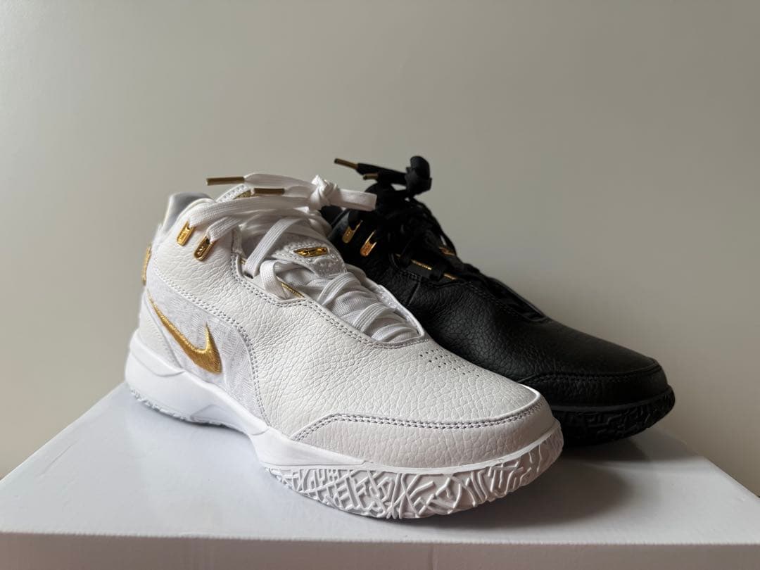 シューズ(女性用) NIKE ZM LEBRON NXXT GEN AMPD EP
