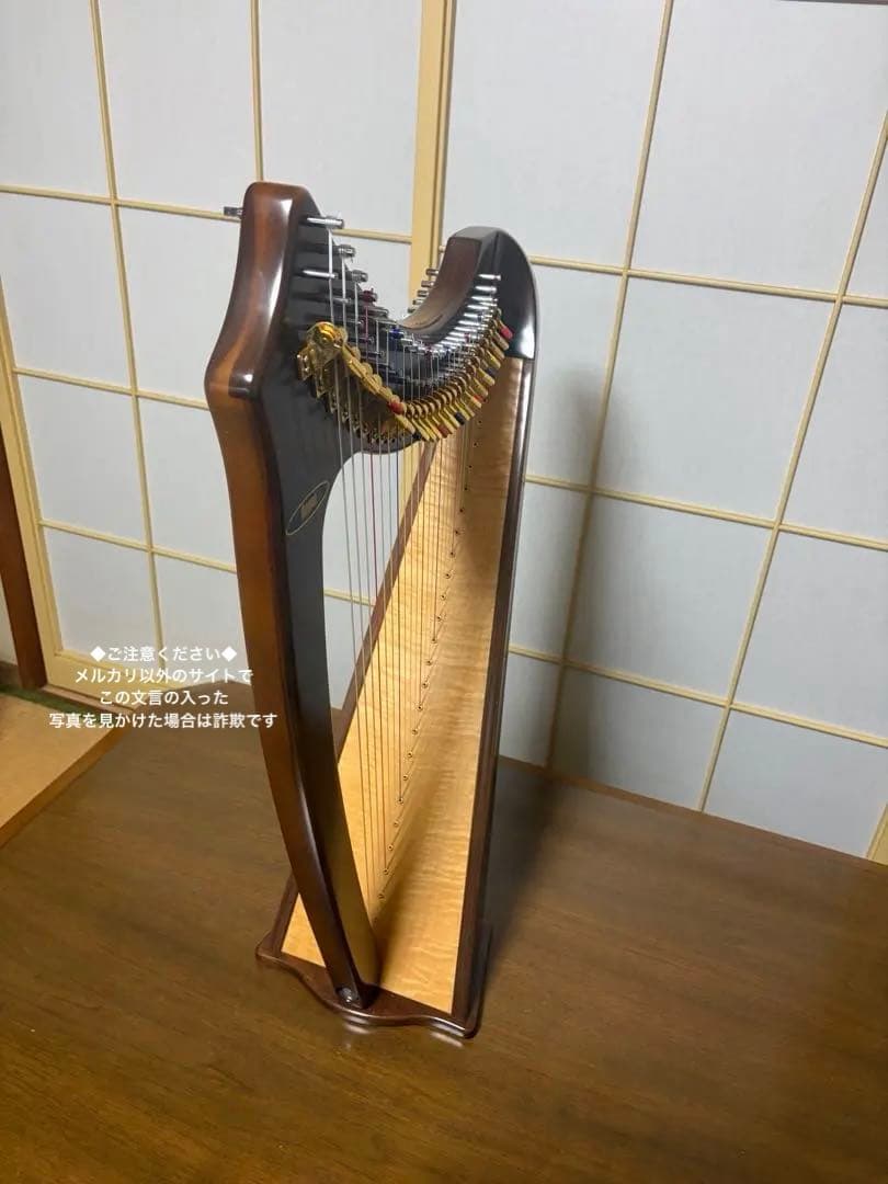 定価277,000円　青山ハープ　アオヤマ 25S サウルハープ