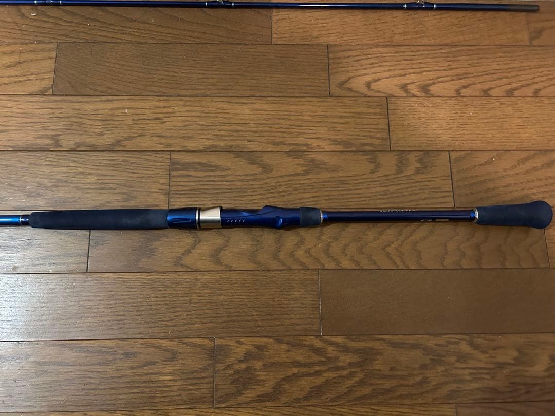 DAIWA シーパワー73 50-270