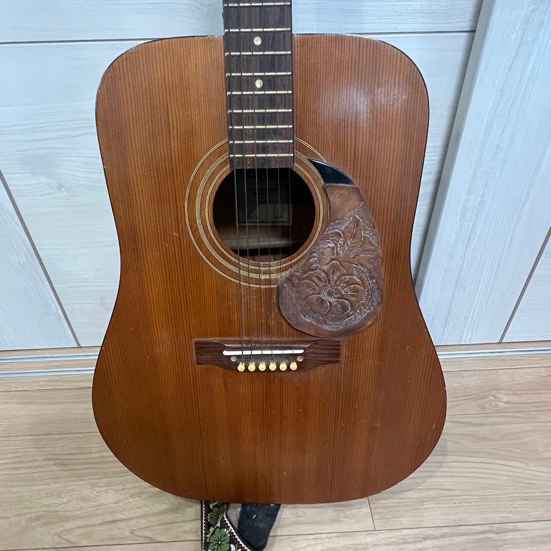 アコースティックギター 楽器 SAKURA