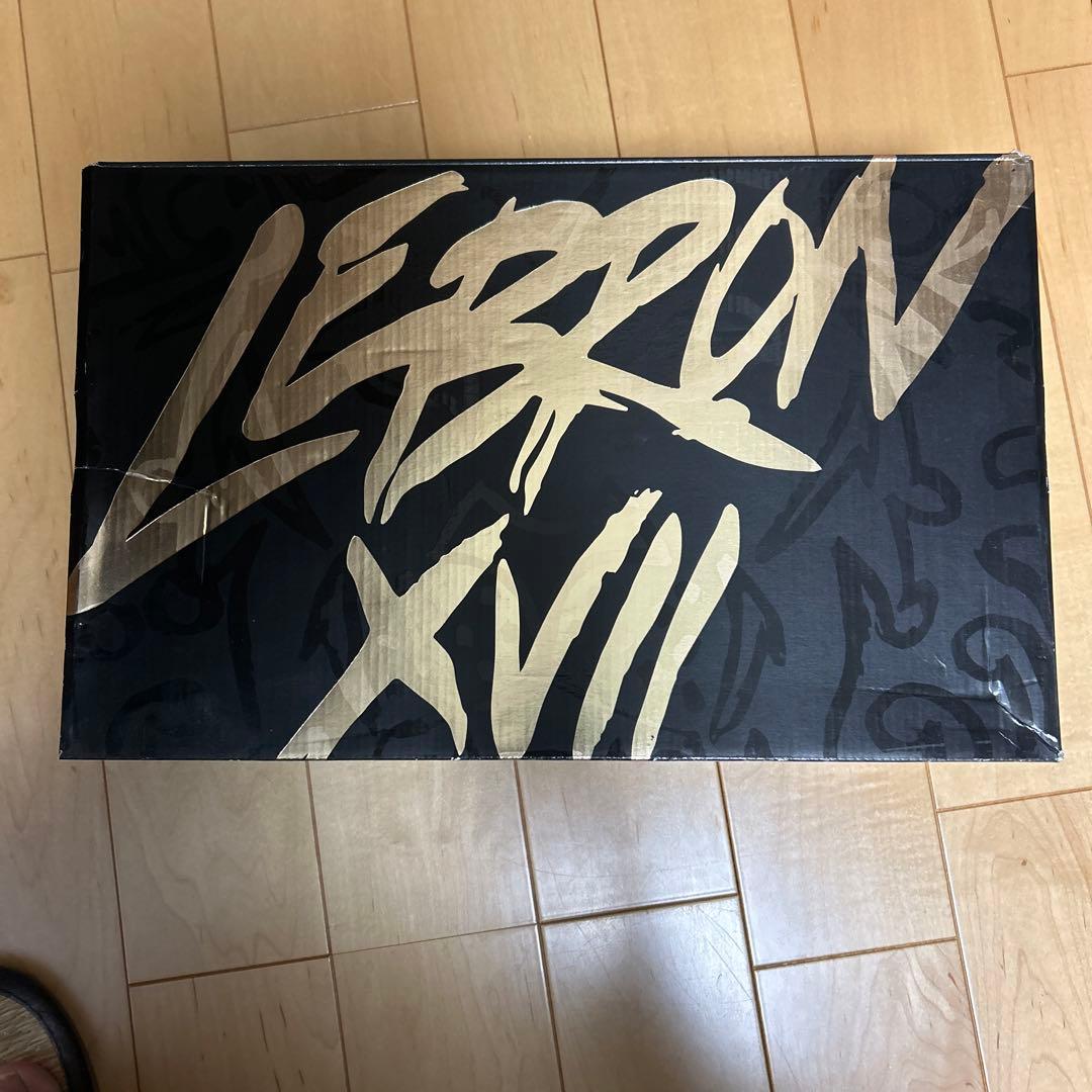 NIKE LEBRON XVII LMTD バスケットシューズ ハイカット　26