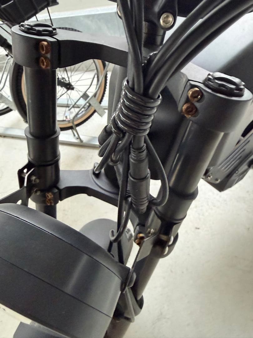 マットブラック 電動アシスト自転車 e-bike