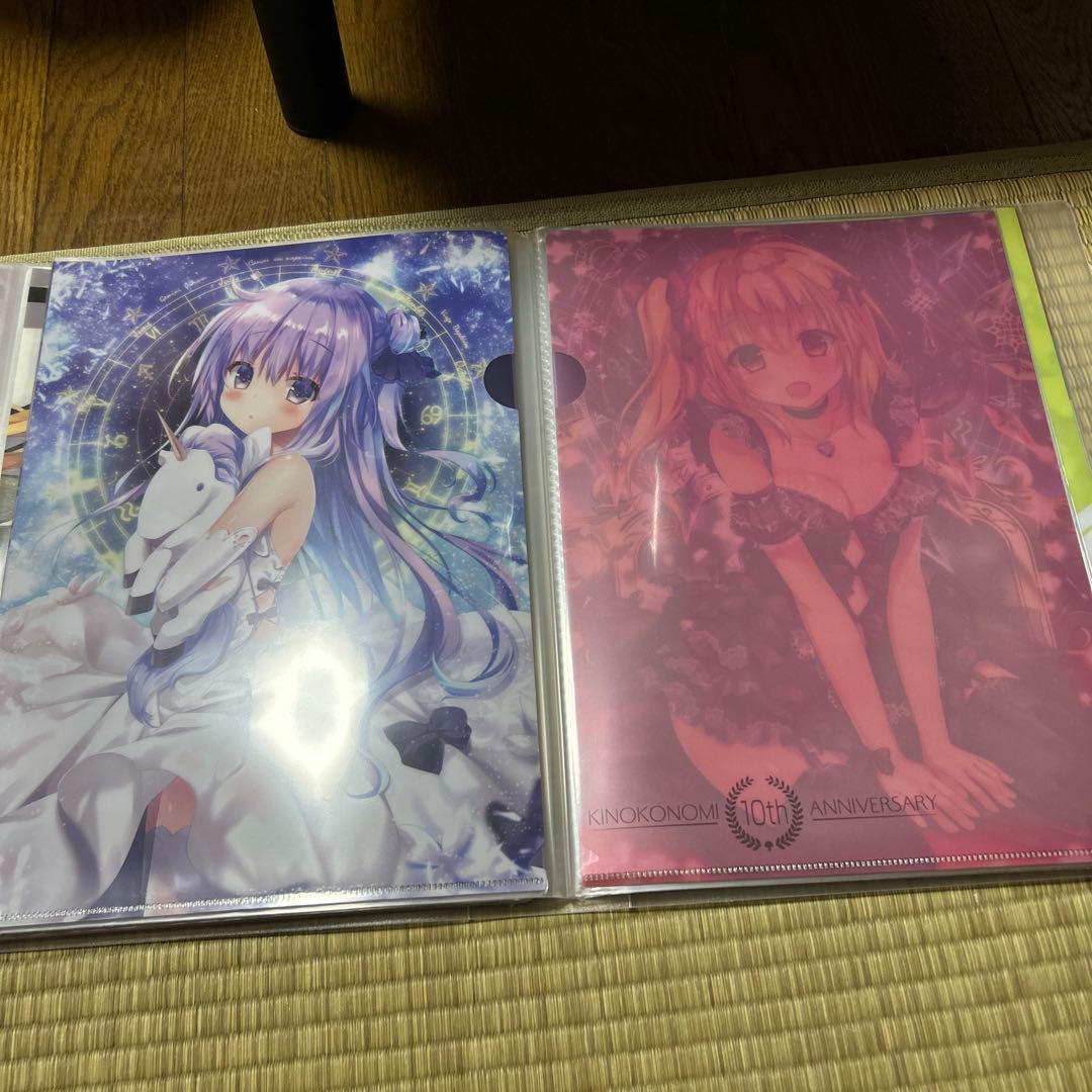 きのこのみ クリアファイル まとめ売り