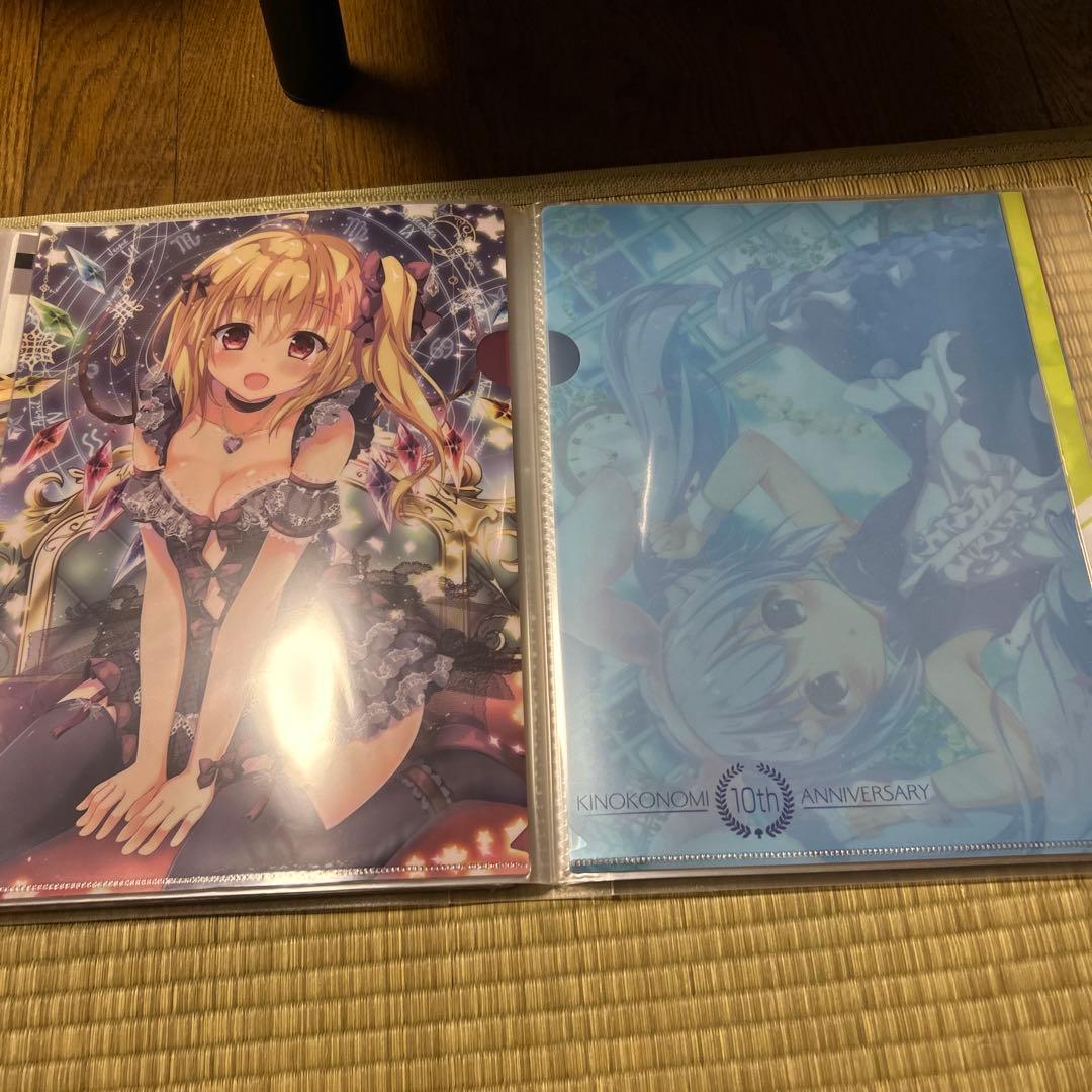 きのこのみ クリアファイル まとめ売り