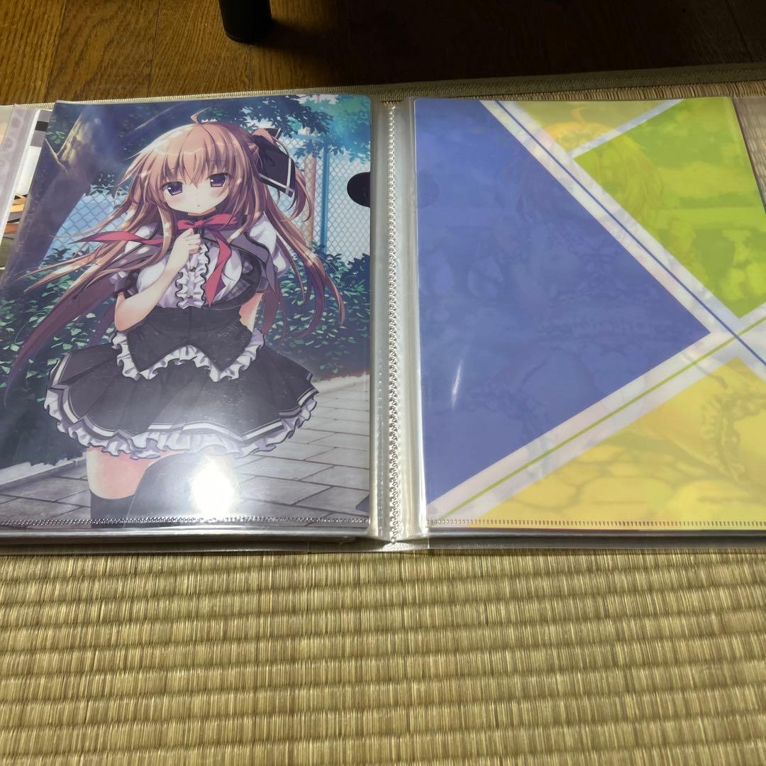 きのこのみ クリアファイル まとめ売り
