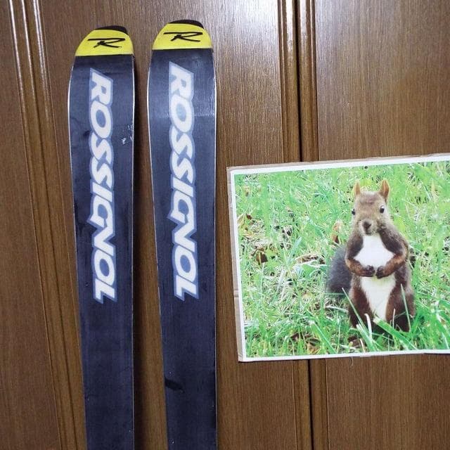 美品_ジュニア競技用_ROSSIGNOL_9X_RACING_170cm