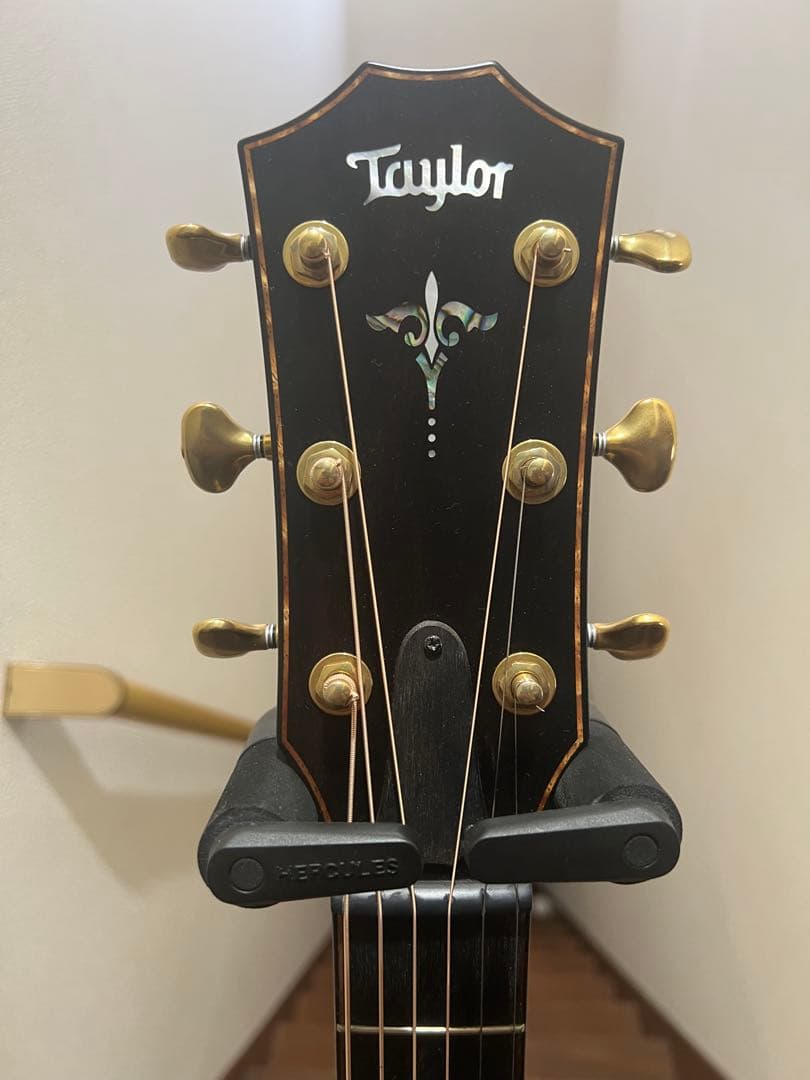 Taylor(テイラー)914ce Builder's Edition