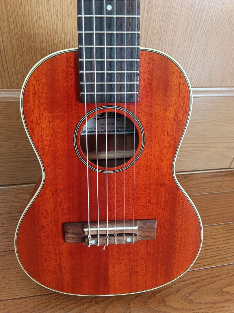 Aria ATU-120/6 アリア 6弦 ギタレレ ミニギター・ソフトケース付