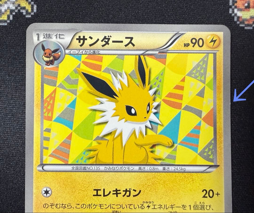 ★ポケモンカード サンダース 186/BW-P プロモ コレクションファイル★