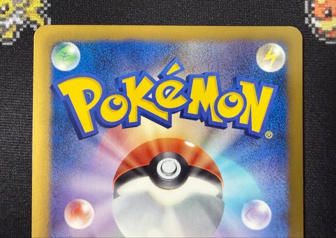 ★ポケモンカード サンダース 186/BW-P プロモ コレクションファイル★