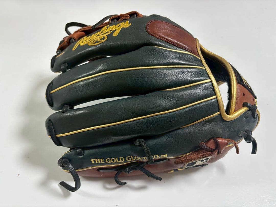 Rawlings ローリングス THE GOLD GLOVE 黒/茶