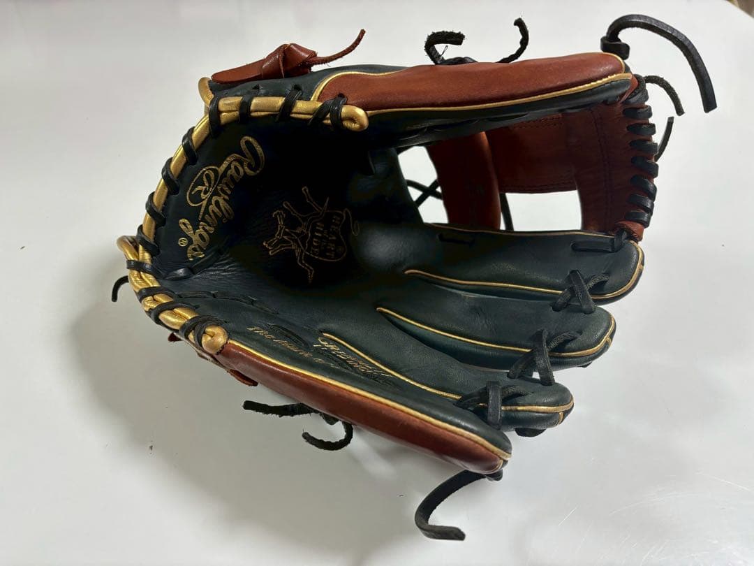 Rawlings ローリングス THE GOLD GLOVE 黒/茶