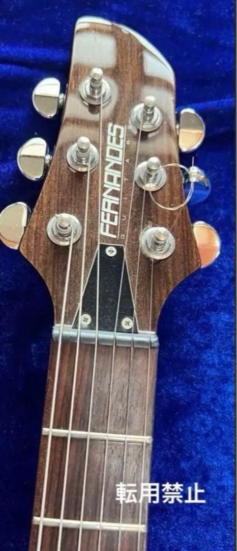 【Fernandes】エレキギター APG series 限定品