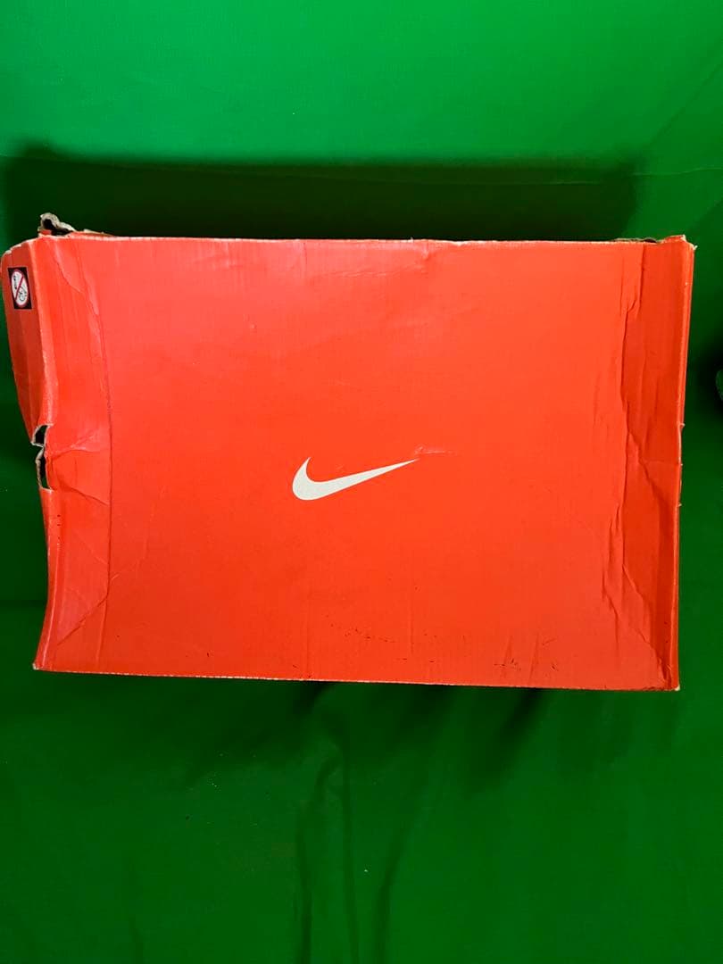 Nike ランニングシューズ ホワイト/ブルー　AIR ペガサス　25 未使用