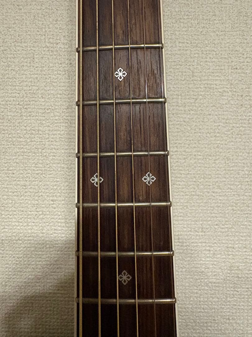 タカミネ　Takamine ギター　エレアコ　グリーン　緑