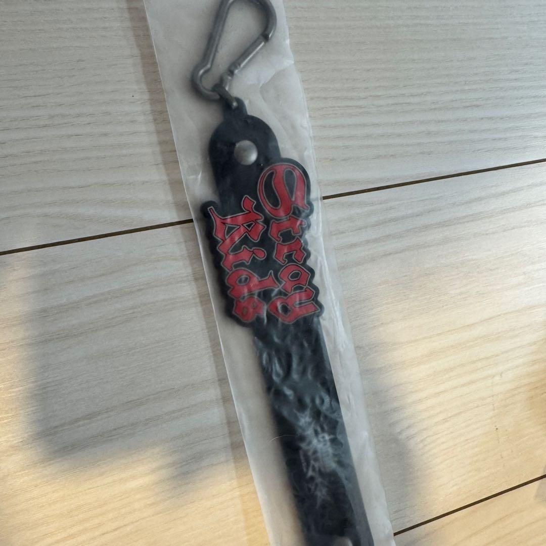 STRAY KIDS DOMINATE アプグレ特典　グッズ　新品未使用　スキズ