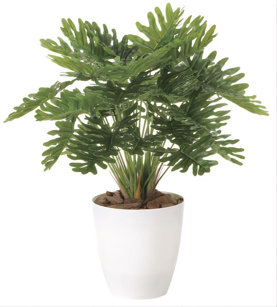 光触媒　人工観葉植物　ウォールグリーン　フェイクグリーン　フレッシュクッカバラm