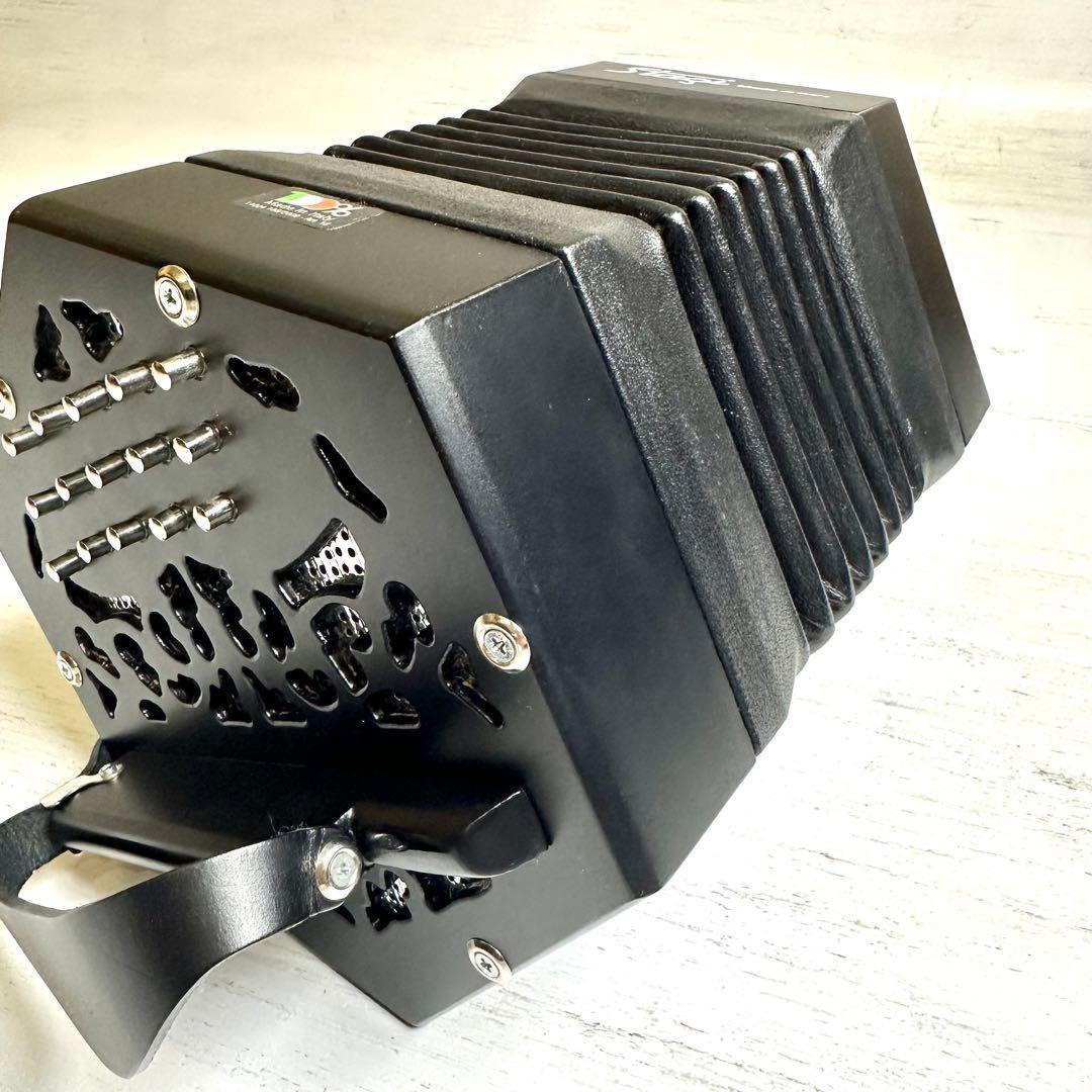 Stagi W-15LN コンサルティーナ ボタン式 アコーディオン