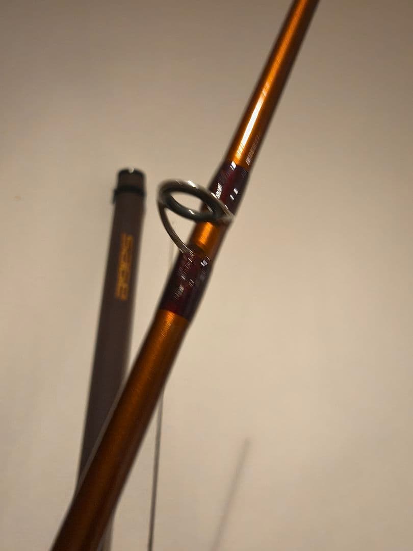 セージ SAGE FLi フライ 9ft 3 7/8 oz 790 #7