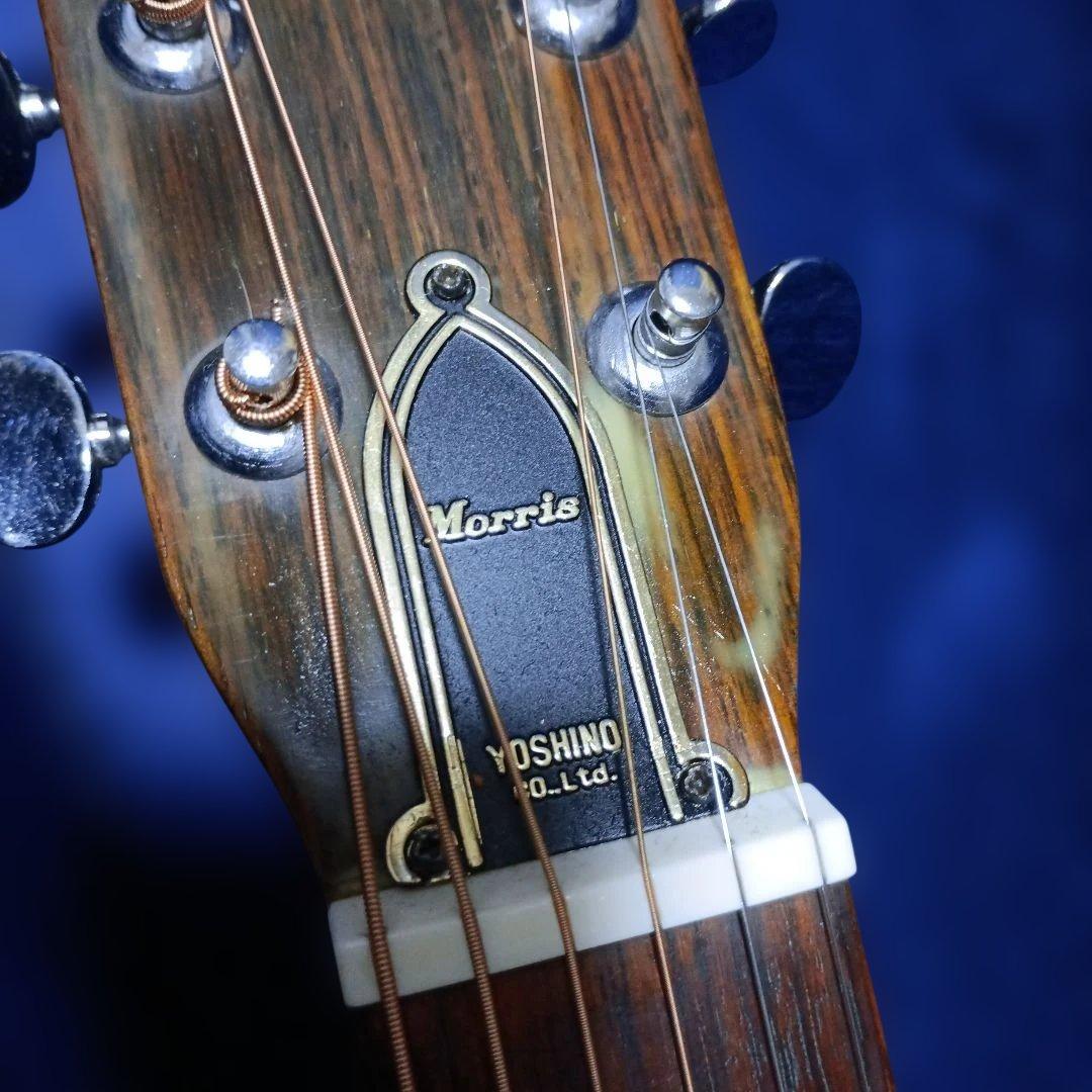 初期ロゴ Morris モーリス アコギ F12 吉野楽器 F-12
