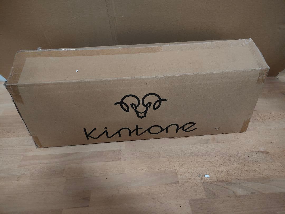 ホワイト kintone社製 電動ミニセグウェイ