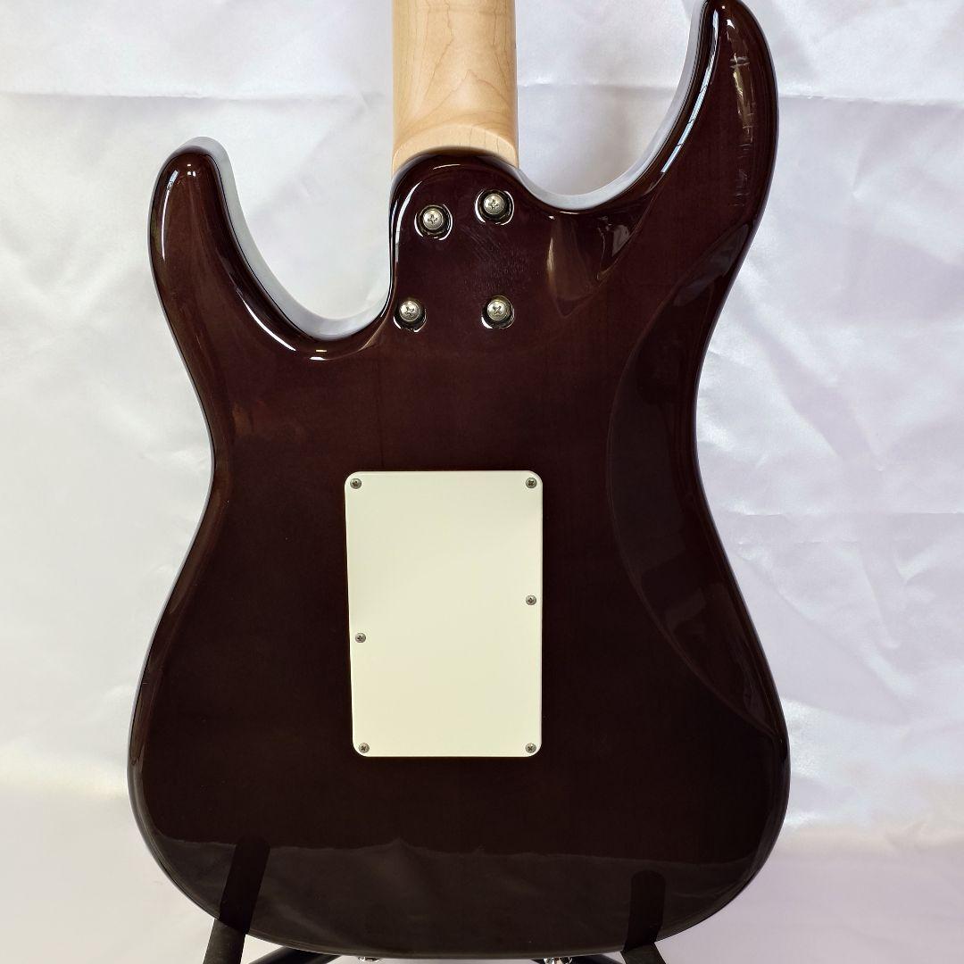 【日本製】SCHECTER SD-2-24 BW RED/M